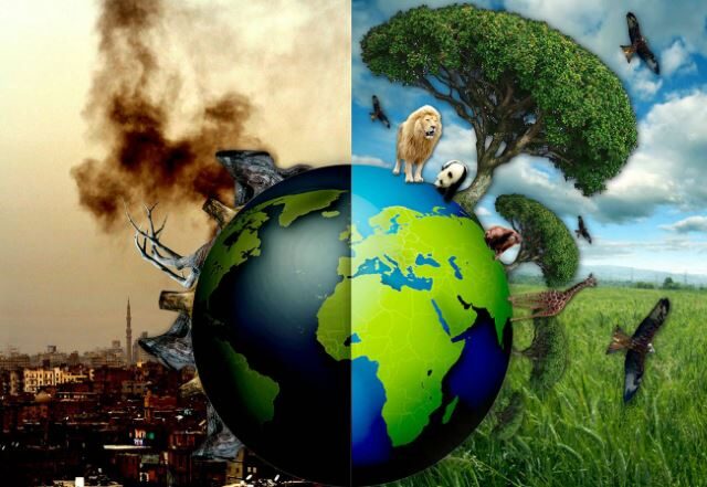 1ecology_islam
