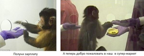 Kto-ne-rabotaet-tot-ne-est